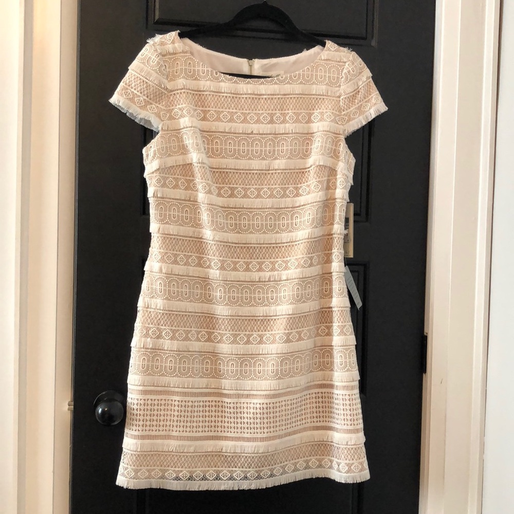 BNWT Eliza J crochet dress